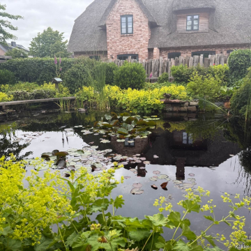 Blick von der Terrasse auf den Teich Blick von der Terrasse auf den Teich