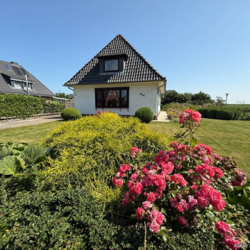 Außenaufnahmen Außenaufnahmen