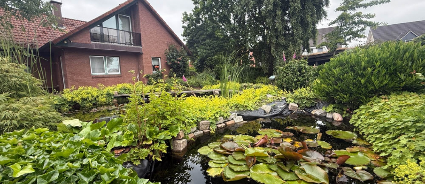 Blick über den Teich auf das Haus